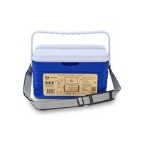 Контейнер изотермический (сумка-холодильник) 10л синий Арктика